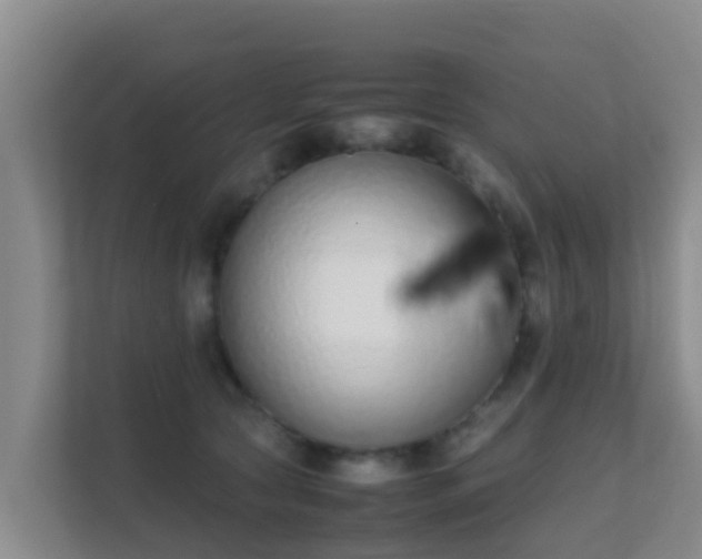 X0000111650561200907241134