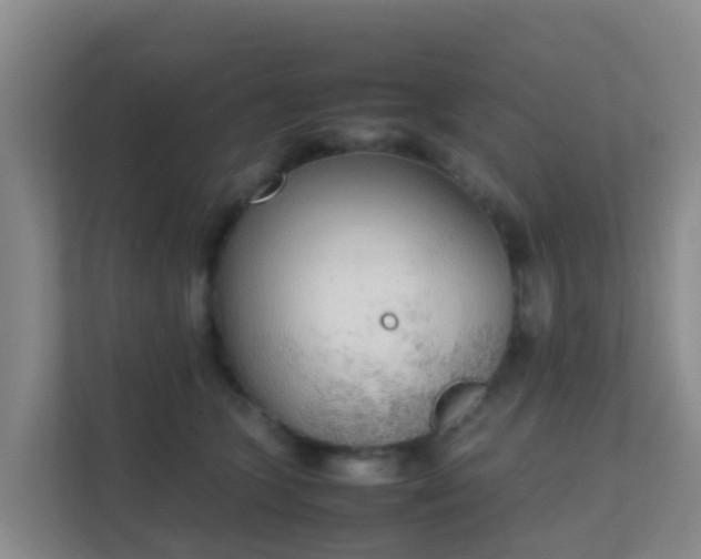 X0000111650563200907241134