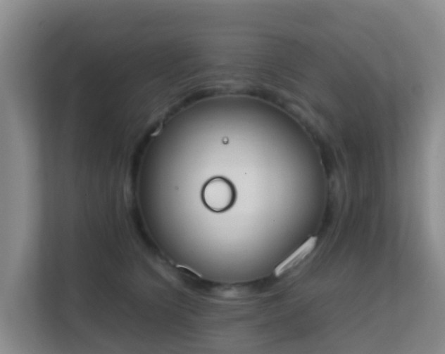 X0000111650564200907241134