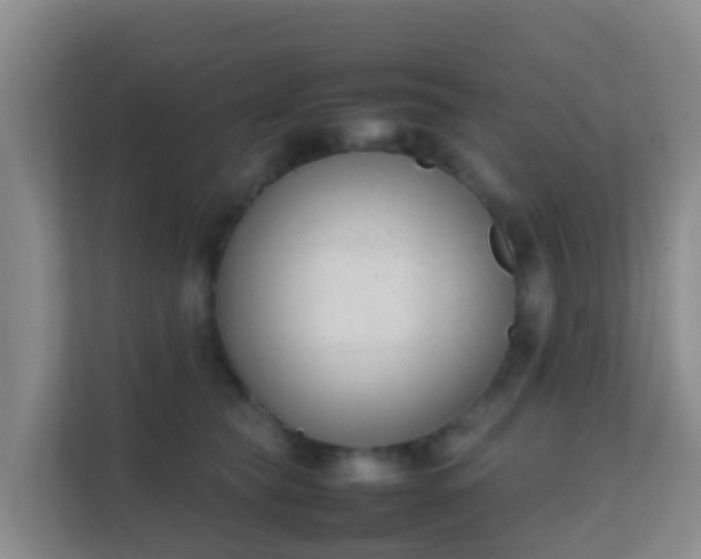 X0000111650565200907241134