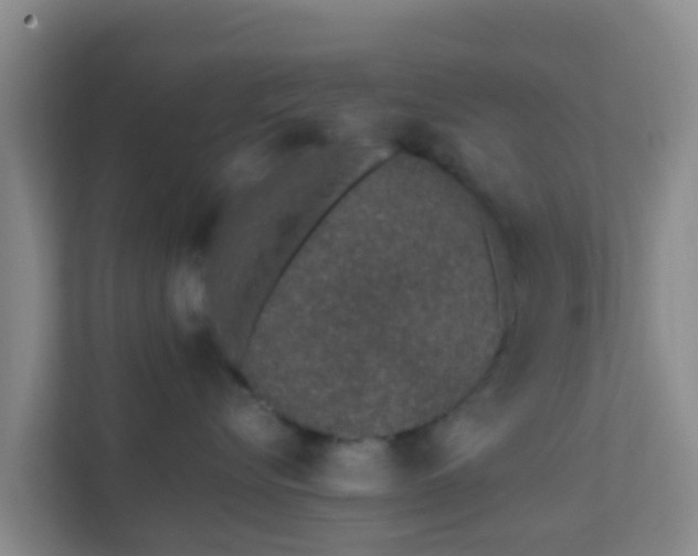 X0000111650576200907241134