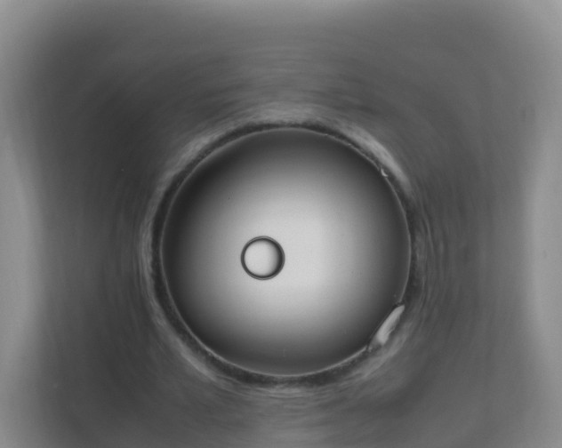 X0000111650581200907241133