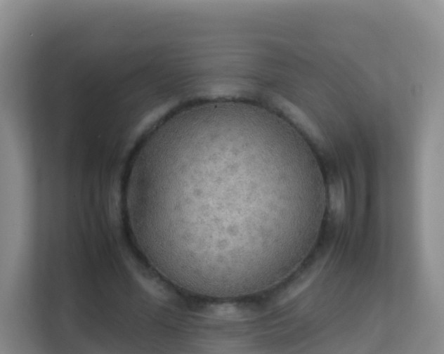 X0000111650588200907241133
