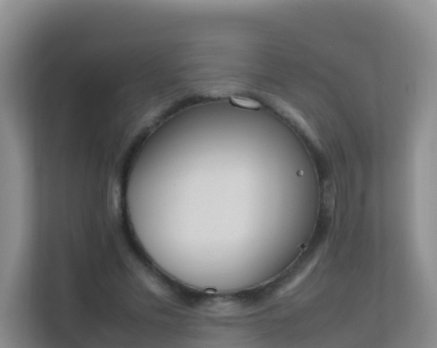 X0000111650589200907241133
