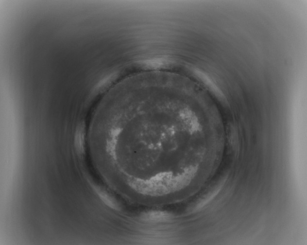 X0000111650590200907241133