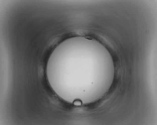 X0000111650595200907241133