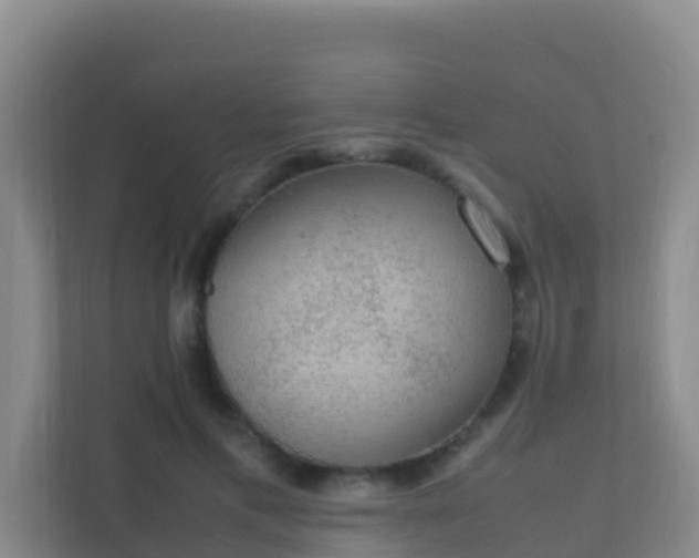 X0000111650597200907241133