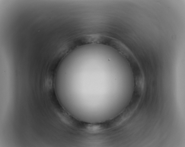 X0000111650602200907241133