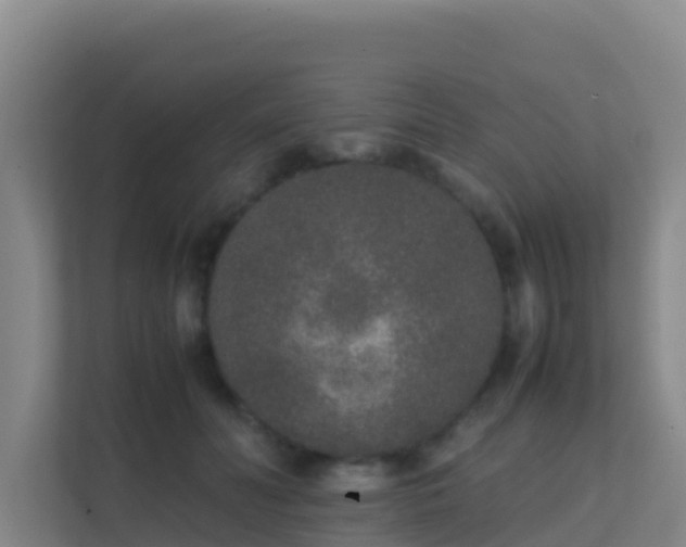 X0000111650606200907241133