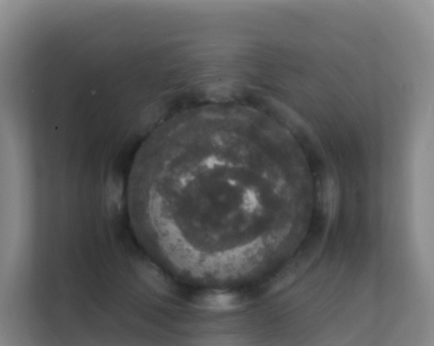 X0000111650610200907241133
