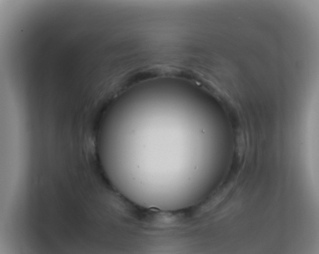 X0000111650613200907241133