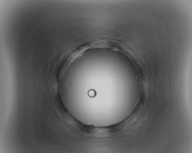 X0000111650617200907241133