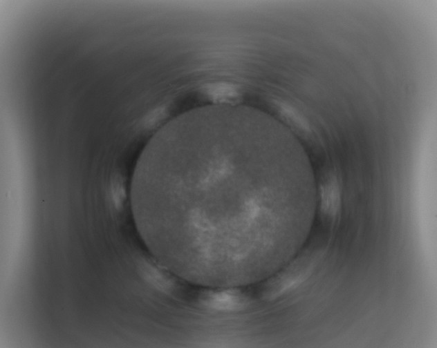 X0000111650618200907241133