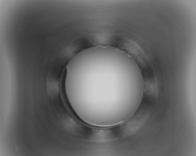 X0000111650621200907241133