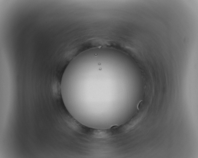 X0000111650624200907241133
