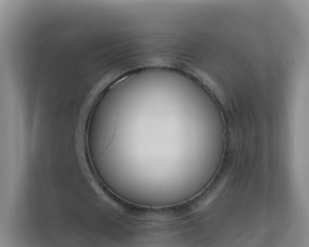 X0000111650625200907241132