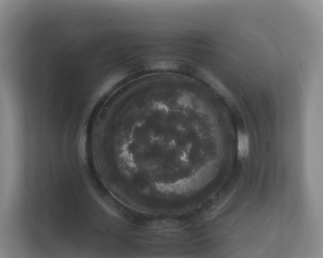 X0000111650627200907241132