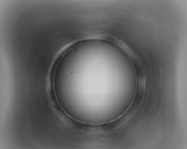 X0000111650628200907241132