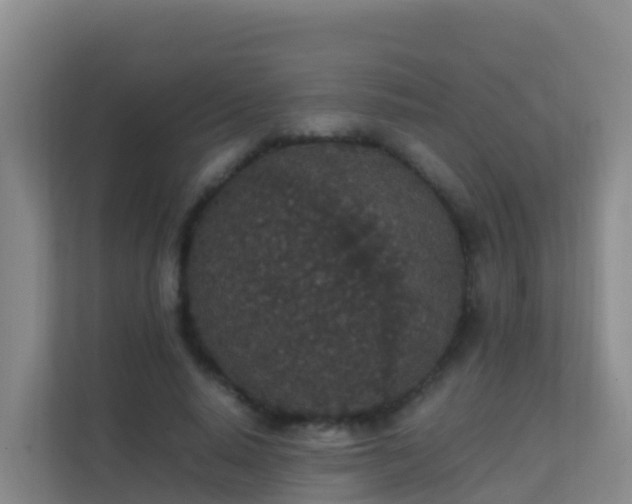 X0000111650640200907241132