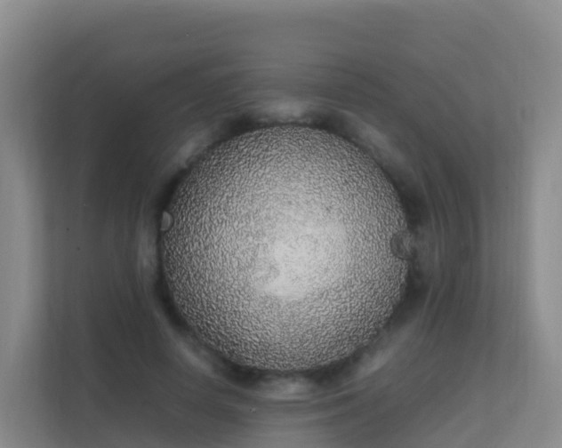 X0000111650642200907241132