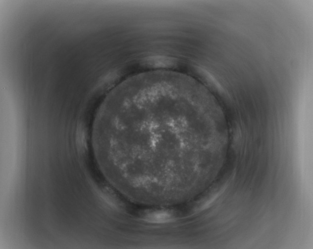 X0000111650643200907241132