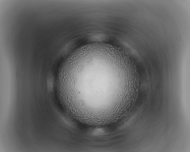 X0000111650647200907241132