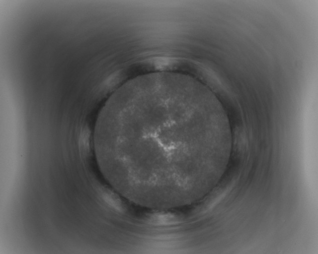X0000111650650200907241132