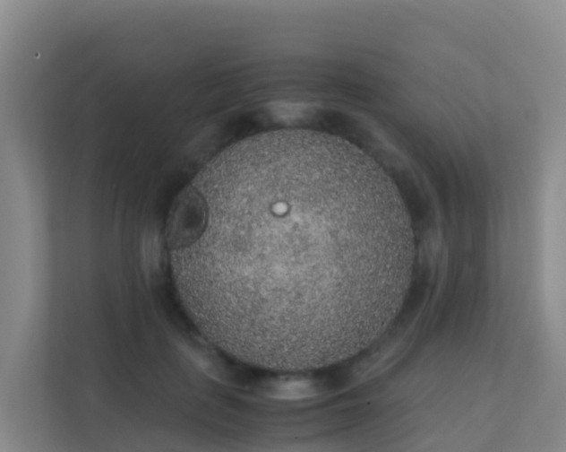 X0000111650651200907241132