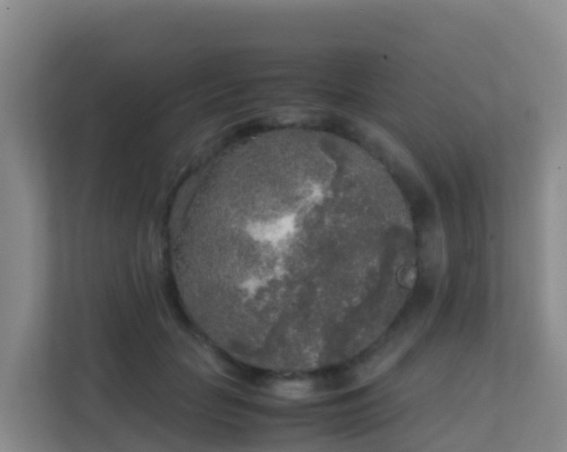 X0000111650653200907241132