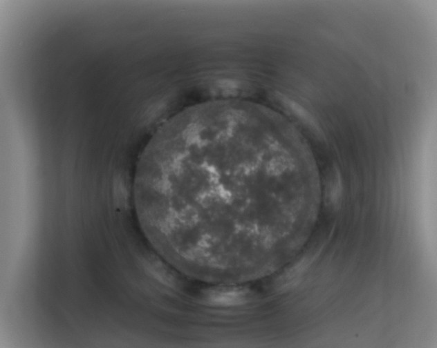 X0000111650661200907241132