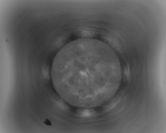 X0000111650663200907241132