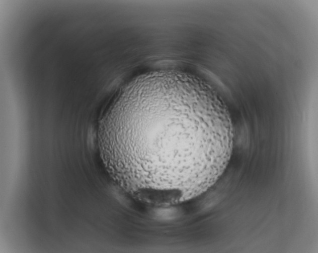 X0000111650669200907241133