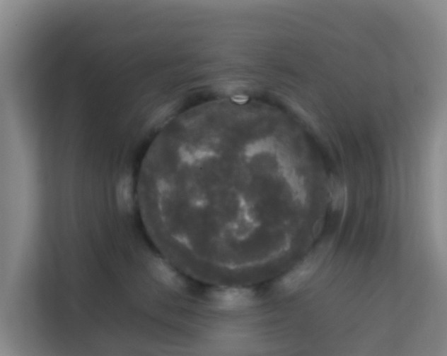 X0000111650670200907241133