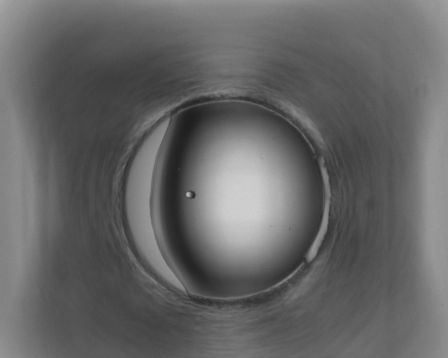 X0000111650673200907241132