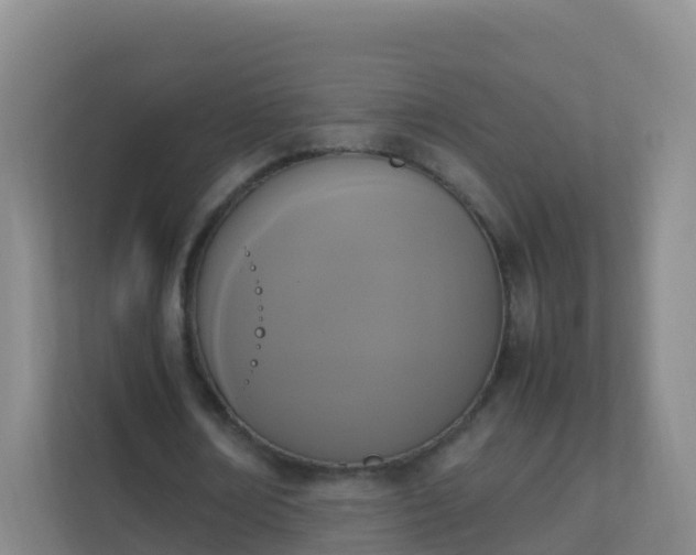 X0000111650674200907241132