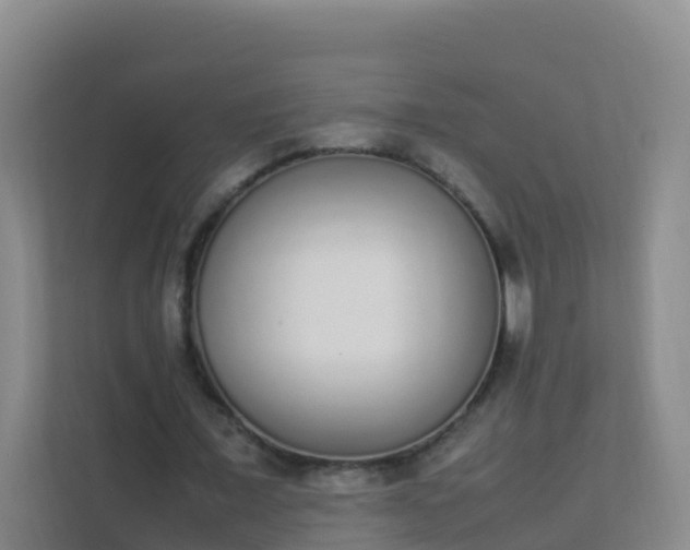 X0000111650675200907241132