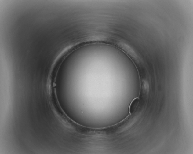 X0000111650676200907241132