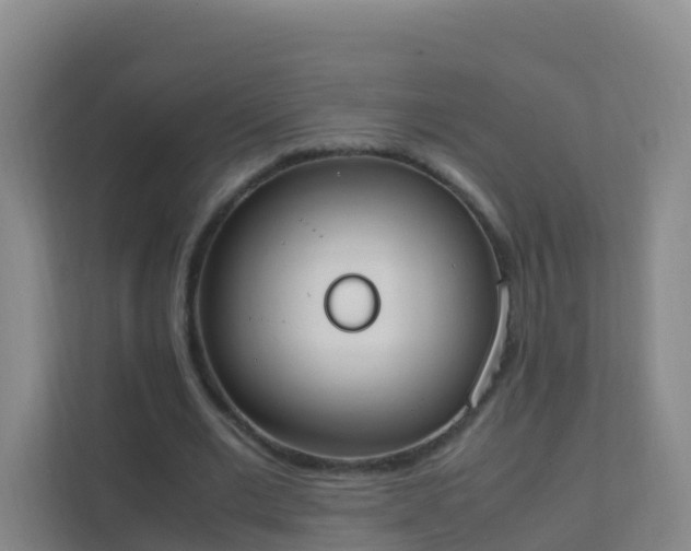 X0000111650677200907241132