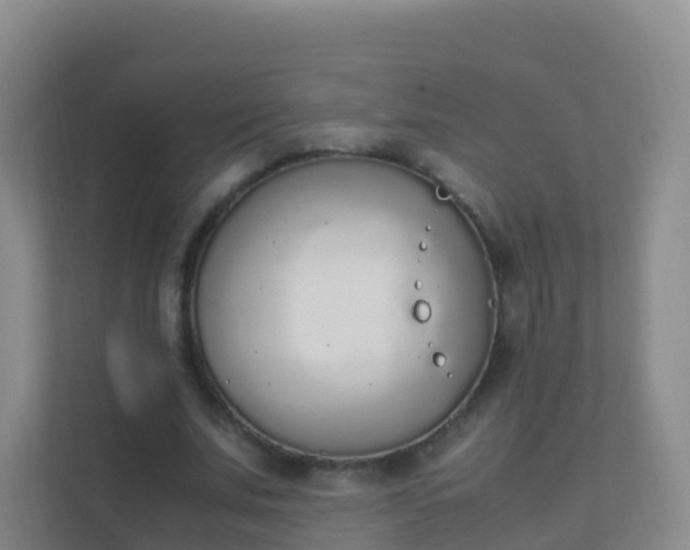 X0000111650679200907241132