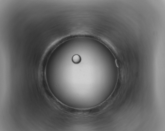 X0000111650680200907241132