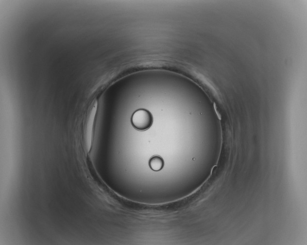 X0000111650681200907241132