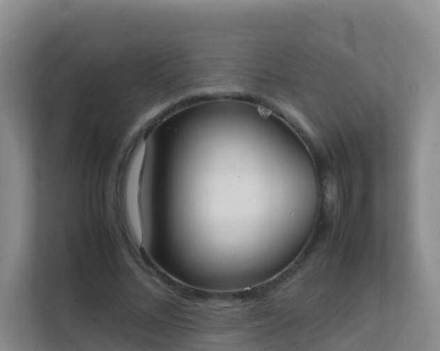 X0000111650684200907241132