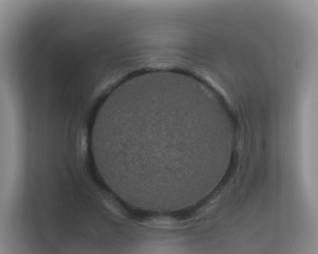 X0000111650685200907241132