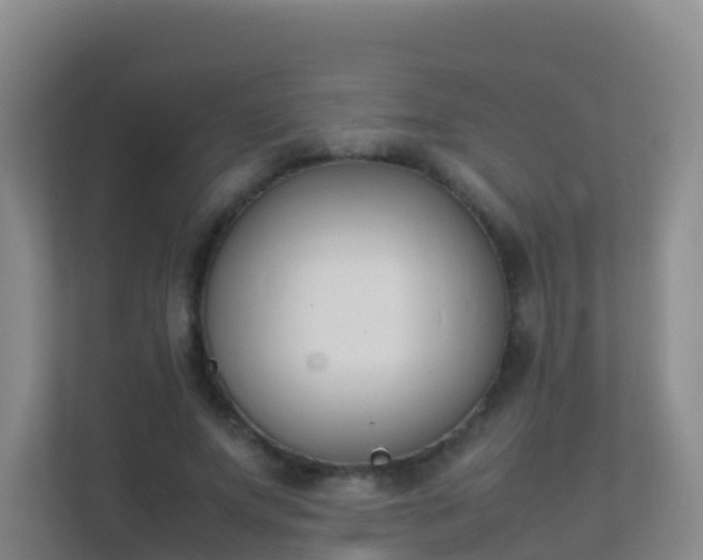X0000111650687200907241132