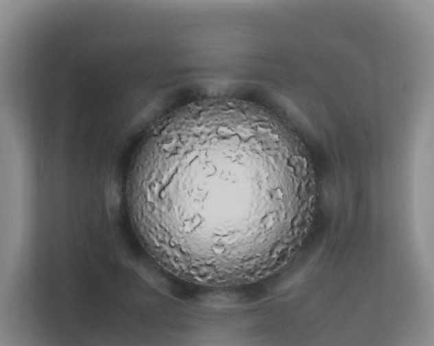 X0000111650691200907241132