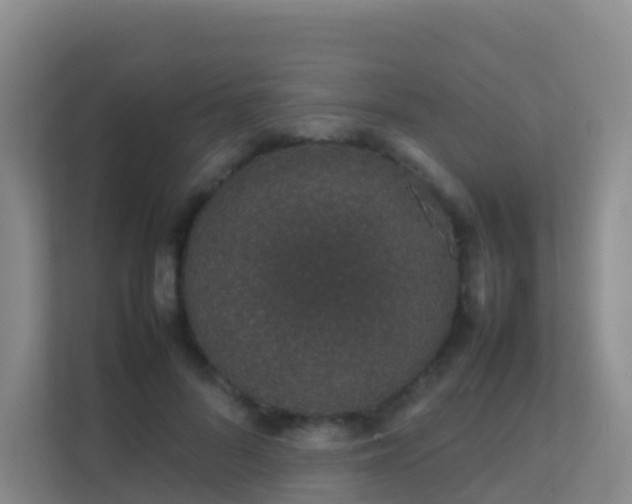 X0000111650696200907241132