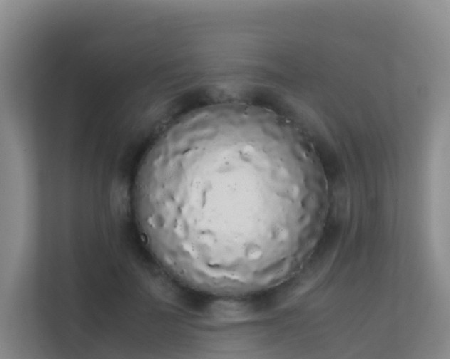 X0000111650699200907241132