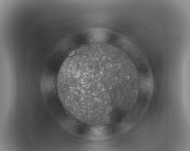 X0000111650701200907241132