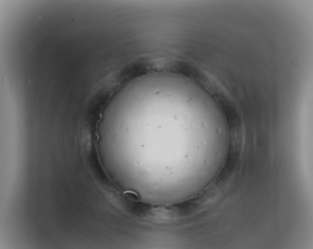 X0000111650703200907241132
