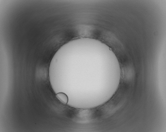 X0000111650705200907241132